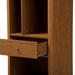 Baxton Studio Ellingham Mid-century Retro Modern 1-drawer Sideboard Storage Cabinet Bookcase Organizer - BSOFP-6785-Walnut