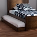 Baxton Studio Payton Modern and Contemporary Brown-Finished Twin Trundle - BSOHT-Walnut Brown-Trundle