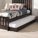 Baxton Studio Payton Modern and Contemporary Dark Brown-Finished Twin Trundle - BSOHT-Espresso Brown-Trundle