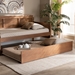 Baxton Studio Toveli Modern and Contemporary Ash Walnut Finished Twin Size Trundle Bed - BSOMG-0015-Ash Walnut-Trundle