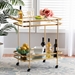 Baxton Studio Destin Modern and Contemporary Glam Brushed Gold Finished Metal and Mirrored Glass 2-Tier Mobile Wine Bar Cart - BSOJY20A263-Gold-Cart