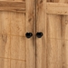Baxton Studio Glidden Modern and Contemporary Oak Brown Finished Wood 2-Door Shoe Storage Cabinet - BSOFP-1201-Wotan Oak