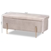 Baxton Studio Rockwell Contemporary Glam and Luxe Grey Velvet Fabric Upholstered and Gold Finished Metal Storage Bench - BSOFZD0223-Grey Velvet-Bench