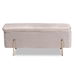 Baxton Studio Rockwell Contemporary Glam and Luxe Grey Velvet Fabric Upholstered and Gold Finished Metal Storage Bench - BSOFZD0223-Grey Velvet-Bench