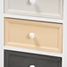 Baxton Studio Adonis Mid-Century Modern Transitional Multi-Colored Wood 3-Drawer Storage Unit with Basket - BSO1804-3DW/1 Basket