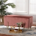 Baxton Studio Helaine Contemporary Glam and Luxe Blush Pink Fabric Upholstered and Gold Metal Bench Ottoman - BSOFZD200124-Blush Pink-Bench