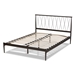 Baxton Studio Nano Modern and Contemporary Black Finished Metal Queen Size Platform Bed - BSOTS-Nano-Black-Queen