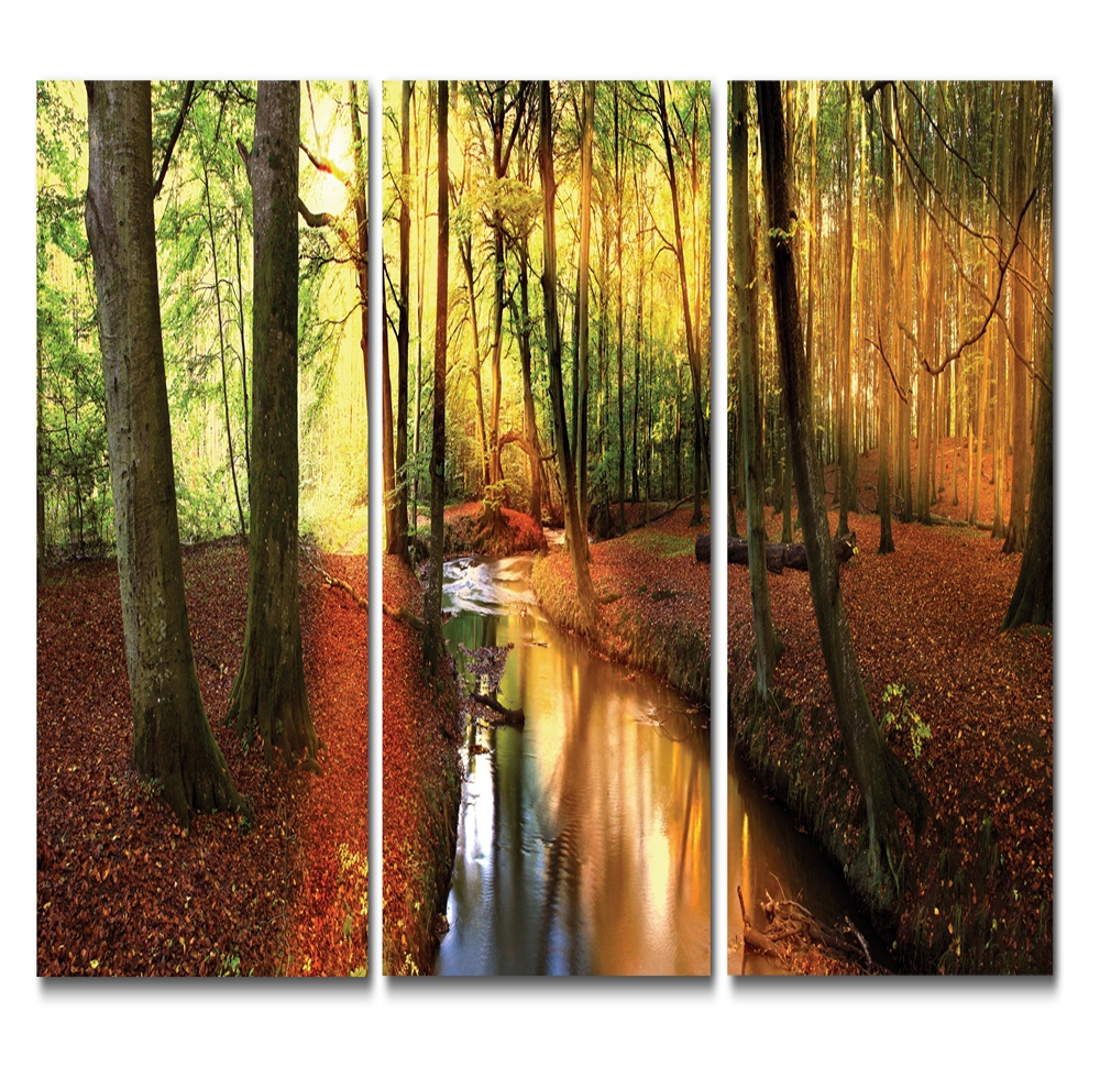 Baxton Studio Forest Oasis Mounted Photography Print Triptych