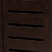 Baxton Studio Adalwin Modern and Contemporary 3-Door Dark Brown Wooden Entryway Shoes Storage Cabinet - BSOSC863533-Wenge