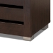 Baxton Studio Adalwin Modern and Contemporary 3-Door Dark Brown Wooden Entryway Shoes Storage Cabinet - BSOSC863533-Wenge