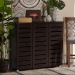 Baxton Studio Adalwin Modern and Contemporary 3-Door Dark Brown Wooden Entryway Shoes Storage Cabinet - BSOSC863533-Wenge