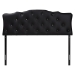 Baxton Studio Rita Modern and Contemporary Queen Size Black Faux Leather Upholstered Button-tufted Scalloped Headboard - BSOBBT6503-Black-Queen HB