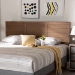 Baxton Studio Seren Mid-Century Modern Walnut Brown Finished Wood King Size Headboard - BSOMG97093-Ash Walnut-HB-King