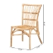 bali & pari Ammi Modern Bohemian Natural Brown Rattan Dining Chair  - BSOAmmi-Rattan-DC