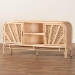 bali & pari Carabella Bohemian Natural Rattan 2-Door Storage Cabinet - BSOWS082-Natural Rattan-Cabinet