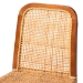 bali & pari Caspia Mid-Century Modern Walnut Brown Mahogany Wood and Natural Rattan 2-Piece Dining Chair Set - BSOCaspia-Teak-DC