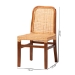 bali & pari Caspia Mid-Century Modern Walnut Brown Mahogany Wood and Natural Rattan 2-Piece Dining Chair Set - BSOCaspia-Teak-DC