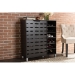 Baxton Studio Shirley Modern and Contemporary Dark Brown Wood 2-Door Shoe Cabinet with Open Shelves - BSOSR-002-Espresso