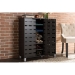 Baxton Studio Shirley Modern and Contemporary Dark Brown Wood 2-Door Shoe Cabinet with Open Shelves - BSOSR-002-Espresso