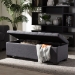 Baxton Studio Roanoke Modern and Contemporary Dark Grey Fabric Upholstered Grid-Tufting Storage Ottoman Bench - BSOBBT3101-OTTO-Dark Grey-H1217-20