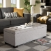 Baxton Studio Roanoke Modern and Contemporary Grayish Beige Fabric Upholstered Grid-Tufting Storage Ottoman Bench - BSOBBT3101-OTTO-Greyish Beige-H1217-14