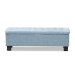 Baxton Studio Hannah Modern and Contemporary Light Blue Fabric Upholstered Button-Tufting Storage Ottoman Bench - BSOBBT3136-OTTO-Light Blue-H1217-21