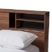 Baxton Studio Vanda Modern and Contemporary Two-Tone Walnut and Black Wood Queen Size Platform Bed - BSOVDQB001291-Walnut/Black-Queen