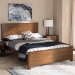 Baxton Studio Catalina Modern Classic Mission Style Brown-Finished Wood Full Platform Bed - BSOHT1702-Walnut Brown-Full