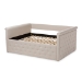 Baxton Studio Amaya Modern and Contemporary Light Beige Fabric Upholstered Queen Size Daybed - BSOCF8825-C-Light Beige-Daybed-Q