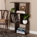 Baxton Studio Legende Modern and Contemporary Brown and Dark Grey Finished Display Bookcase - BSOSEDV5004-Columbia Brown/Dark Grey-Shelf