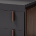 Baxton Studio Rikke Modern and Contemporary Two-Tone Gray and Walnut Finished Wood 2-Drawer TV Stand - BSOBR3TV313-Columbia/Dark Grey-TV