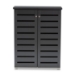 Baxton Studio Adalwin Modern and Contemporary Dark Gray 2-Door Wooden Entryway Shoe Storage Cabinet - BSOSC863522M-Dark Grey-Shoe Cabinet