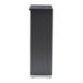 Baxton Studio Adalwin Modern and Contemporary Dark Gray 2-Door Wooden Entryway Shoe Storage Cabinet - BSOSC863522M-Dark Grey-Shoe Cabinet