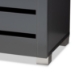 Baxton Studio Adalwin Modern and Contemporary Dark Gray 2-Door Wooden Entryway Shoe Storage Cabinet - BSOSC863522M-Dark Grey-Shoe Cabinet