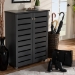 Baxton Studio Adalwin Modern and Contemporary Dark Gray 2-Door Wooden Entryway Shoe Storage Cabinet - BSOSC863522M-Dark Grey-Shoe Cabinet