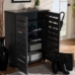 Baxton Studio Adalwin Modern and Contemporary Dark Gray 2-Door Wooden Entryway Shoe Storage Cabinet - BSOSC863522M-Dark Grey-Shoe Cabinet