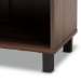 Baxton Studio Rossin Modern and Contemporary Walnut Brown Finished 2-Door Wood Entryway Shoe Storage Cabinet - BSOATSC1613-Columbia-Shoe Cabinet
