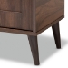 Baxton Studio Cormier Mid-Century Modern Walnut Brown finished 2-Door Wood Entryway Shoe Storage Cabinet - BSOSESC7003-Columbia-Shoe Cabinet