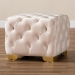 Baxton Studio Avara Glam and Luxe Light Beige Velvet Fabric Upholstered Gold Finished Button Tufted Ottoman - BSOTSFOT029-Light Beige/Gold-Otto
