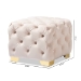 Baxton Studio Avara Glam and Luxe Light Beige Velvet Fabric Upholstered Gold Finished Button Tufted Ottoman - BSOTSFOT029-Light Beige/Gold-Otto