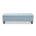 Baxton Studio Brette Mid-Century Modern Light Blue Fabric Upholstered Dark Brown Finished Wood Storage Bench Ottoman - BSOBBT3162-Light Blue-Otto