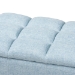 Baxton Studio Brette Mid-Century Modern Light Blue Fabric Upholstered Dark Brown Finished Wood Storage Bench Ottoman - BSOBBT3162-Light Blue-Otto