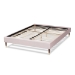 Baxton Studio Volden Glam and Luxe Light Pink Velvet Fabric Upholstered Full Size Wood Platform Bed Frame with Gold-Tone Leg Tips - BSOBBT6598A1-Light Pink-Full