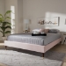 Baxton Studio Volden Glam and Luxe Light Pink Velvet Fabric Upholstered Full Size Wood Platform Bed Frame with Gold-Tone Leg Tips - BSOBBT6598A1-Light Pink-Full
