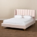 Baxton Studio Saverio Glam and Luxe Light Pink Velvet Fabric Upholstered Queen Size Platform Bed with Gold-Tone Legs - BSOBBT6765-Light Pink-Queen