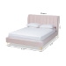 Baxton Studio Saverio Glam and Luxe Light Pink Velvet Fabric Upholstered Queen Size Platform Bed with Gold-Tone Legs - BSOBBT6765-Light Pink-Queen