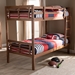 Baxton Studio Liam Modern and Contemporary Walnut Brown Finished Wood Twin Size Bunk Bed - BSOMG0048-Walnut-Twin Bunk Bed