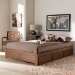 Baxton Studio Wren Modern and Contemporary Walnut Finished 3-Drawer Full Size Platform Storage Bed Frame - BSOMG6001-Walnut-Full