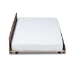 Baxton Studio Toveli Modern and Contemporary Ash Walnut Finished Twin Size Trundle Bed - BSOMG-0015-Ash Walnut-Trundle