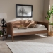 Baxton Studio Veles Mid-Century Modern Ash Wanut Finished Wood Daybed - BSOMG0016-Ash Walnut-Daybed